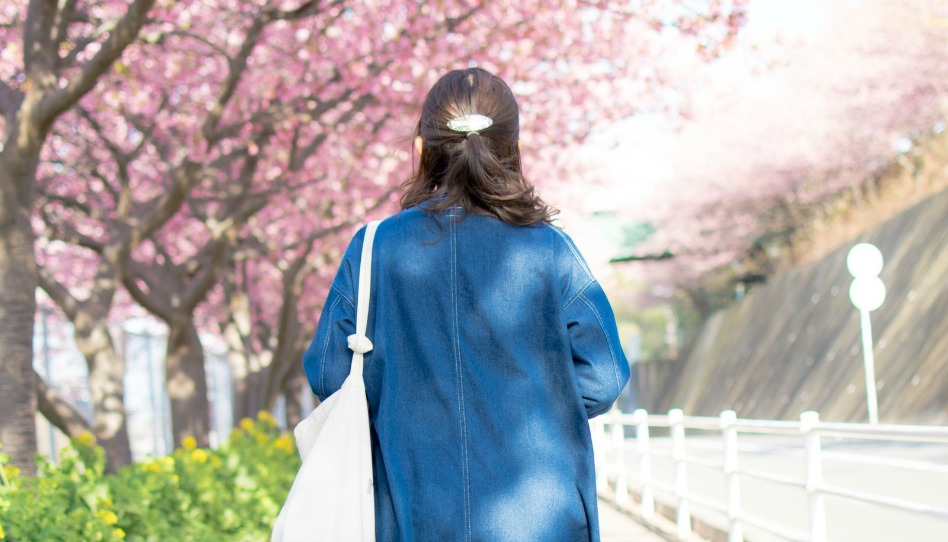 モルモンの女性が桜並木を歩く後ろ姿