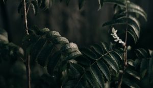 苦しみを捨て、赦しを通して得られる幸せ