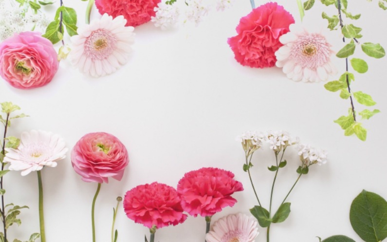 ピンク色の花