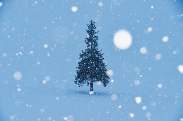 喜びを分かち合うクリスマス
