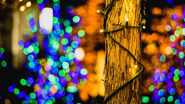 テンプルスクエアのクリスマスライト