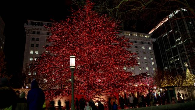 テンプルスクエアにあるレバノンから来た杉の木