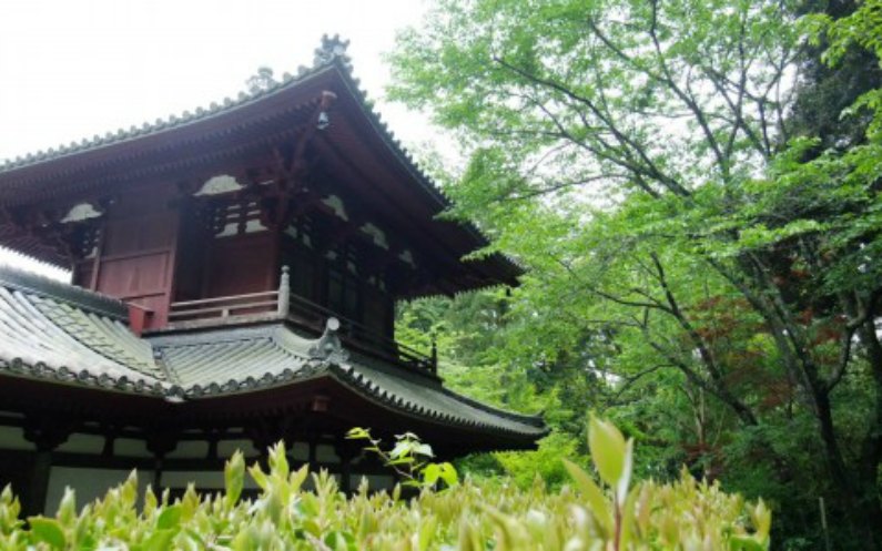 自然の中に建つお寺