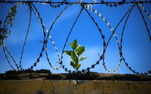 末日聖徒の両親「刑務所で伝道する」息子を支え、愛する