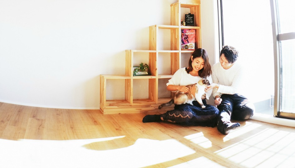 窓辺に猫と座る夫婦