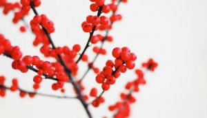 新年の目標：自分に厳しくするのをやめる