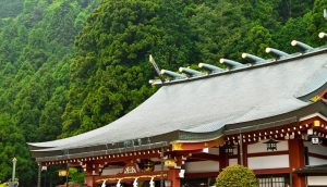 わたしって何者？先祖の歴史を調べる：初心者への５つのヒント