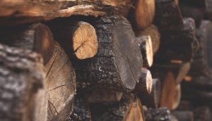 「赦す」の意味:クリスチャンの観点から学ぶ