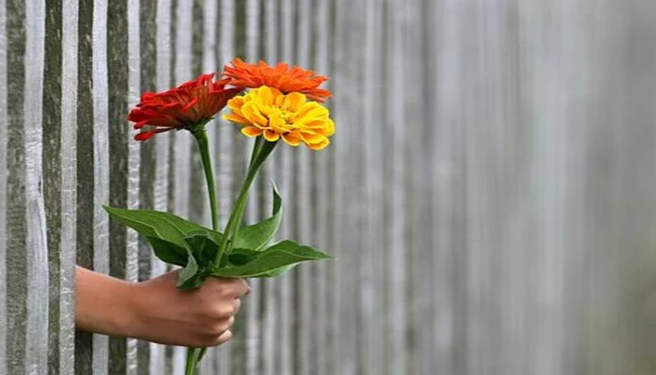 ３輪の花を壁の隙間から誰かに渡しそうなところ