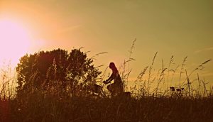 夕暮れ時に自転車に乗って草原を走る人