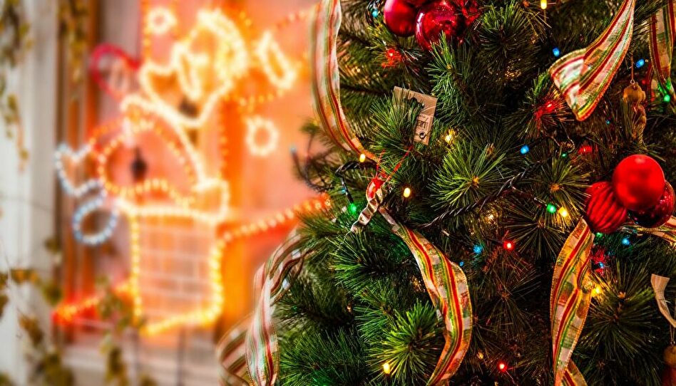 イルミネーションの手前のクリスマスツリー